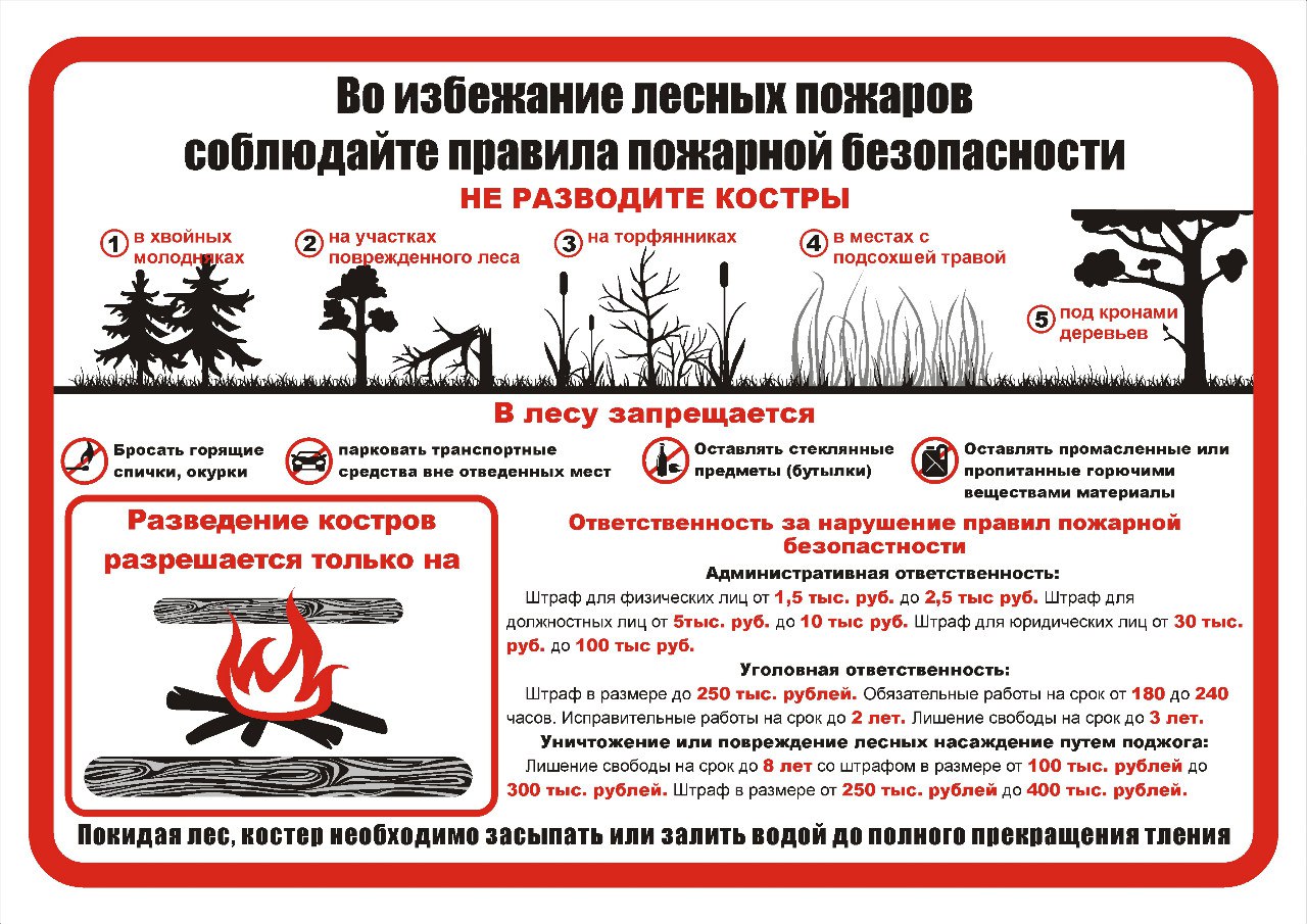 Правила пожарной безопасности в лесу для детей презентация